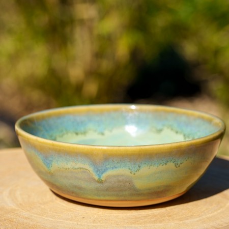 Assiette creuse verte et bleue