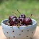 Bol à fruits bleu lavande