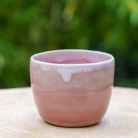 Pot rose
