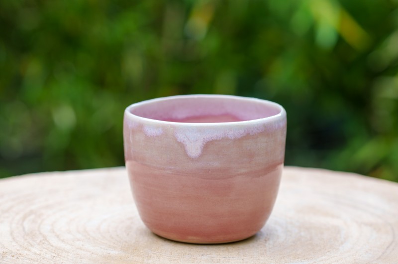 Pot rose