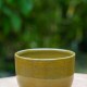 Pot vert olive