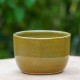 Pot vert olive