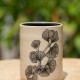 Pot Ginkgo