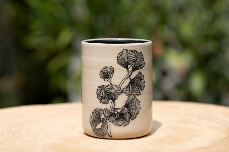 Pot Ginkgo