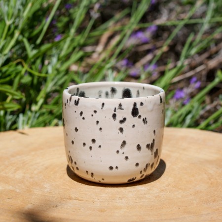 Pot dalmatien
