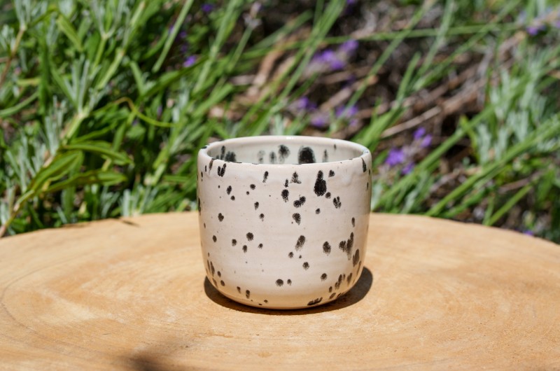 Pot dalmatien