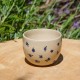 Pot myosotis