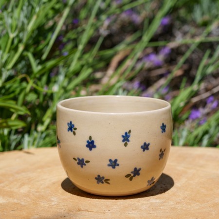 Pot myosotis