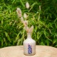 Vase inspiration Matisse