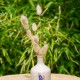 Vase inspiration Matisse