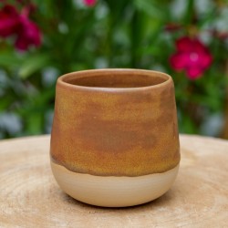 Tasse Vénus
