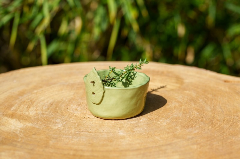 Pot effeuilleur pour herbes aromatiques