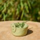 Pot effeuilleur pour herbes aromatiques