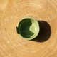 Pot effeuilleur pour herbes aromatiques