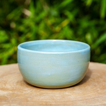 Bol bleu céladon