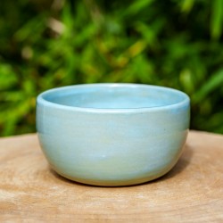 Bol bleu céladon