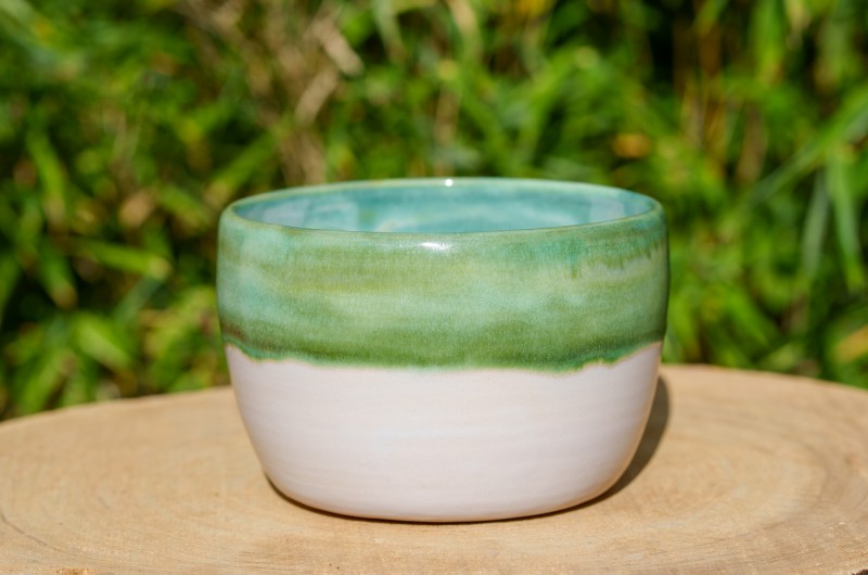 Pot vert et blanc pour plante verte