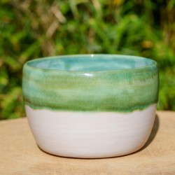 Pot vert et blanc pour plante verte