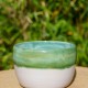 Pot vert et blanc pour plante verte