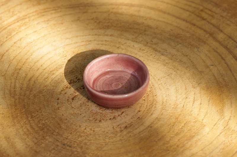 Mini Ramequin rose pour sauce