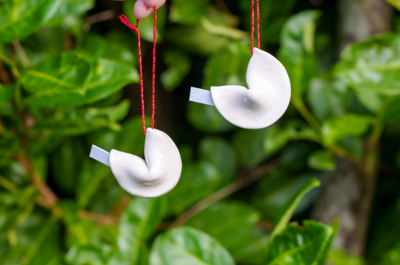 Décoration Cookie Fortune à suspendre