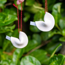 Décoration Cookie Fortune à suspendre