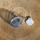 Boule à thé Coquillage