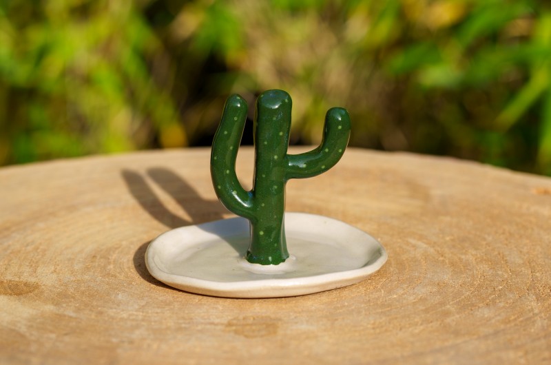 Cactus Porte-bijoux