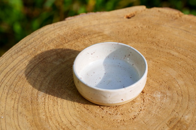 Ramequin beige et vert