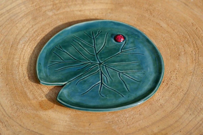 Coupelle Nénuphar et coccinelle