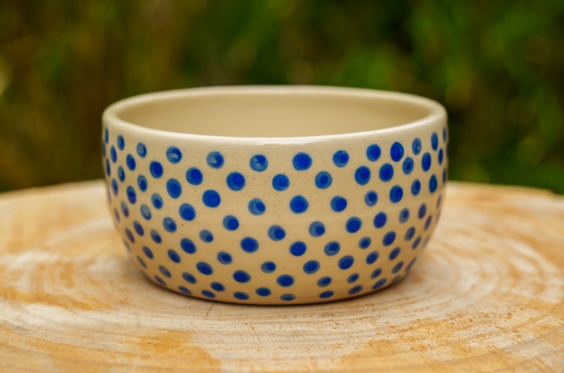 Bol vide-poche Pois bleus