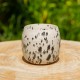 Pot dalmatien