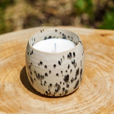 Pot dalmatien