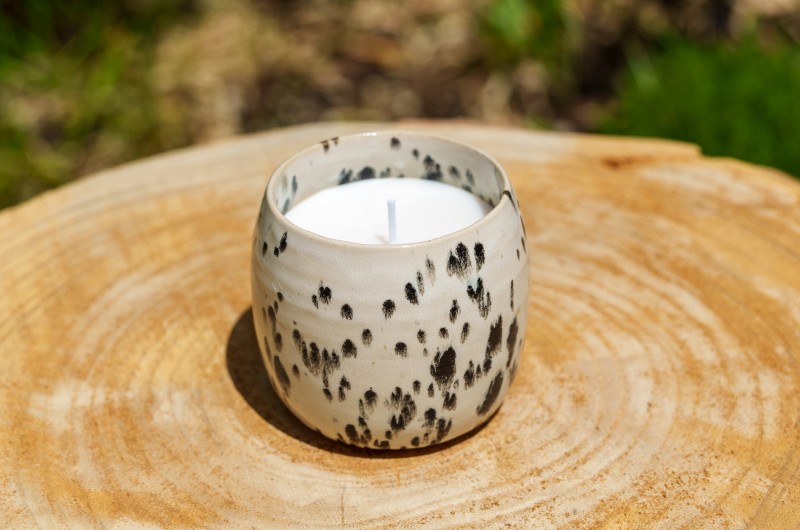 Pot dalmatien