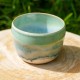 Cache-pot vert et bleu