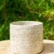 Pot blanc moucheté vert
