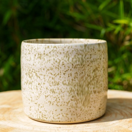 Pot blanc moucheté vert