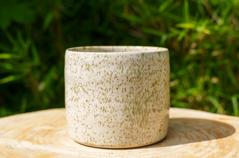 Pot blanc moucheté vert