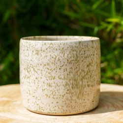Pot blanc moucheté vert