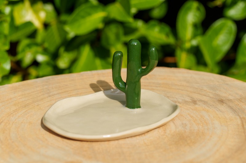Cactus Porte-bijoux