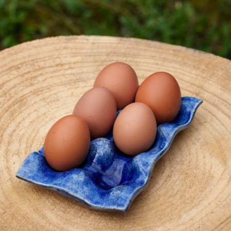 Plateau à oeufs bleu