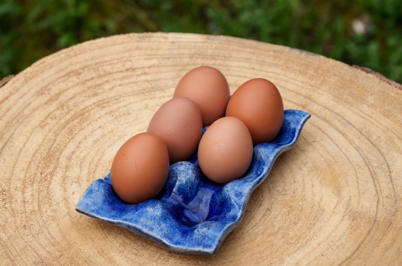 Plateau à oeufs bleu