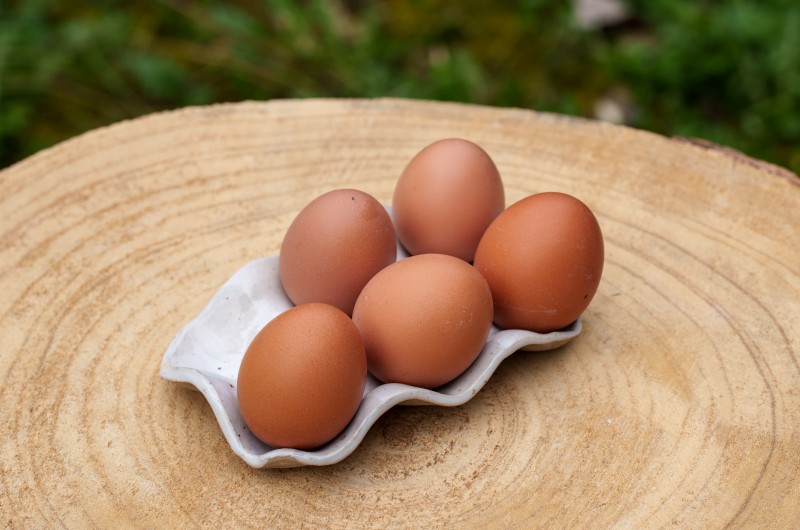 Plateau à oeufs beige