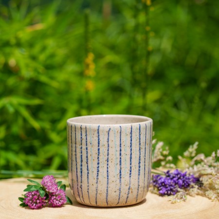 Pot rayures bleues